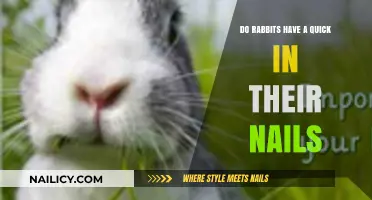 Do Rabbits Have a Quick in Their Nails? Uncovering the Truth