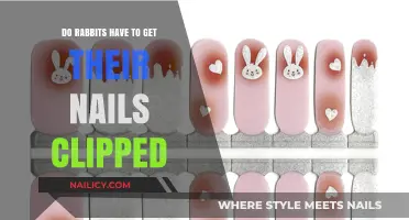Bunny Grooming Essentials: The Truth About Rabbit Nail Care