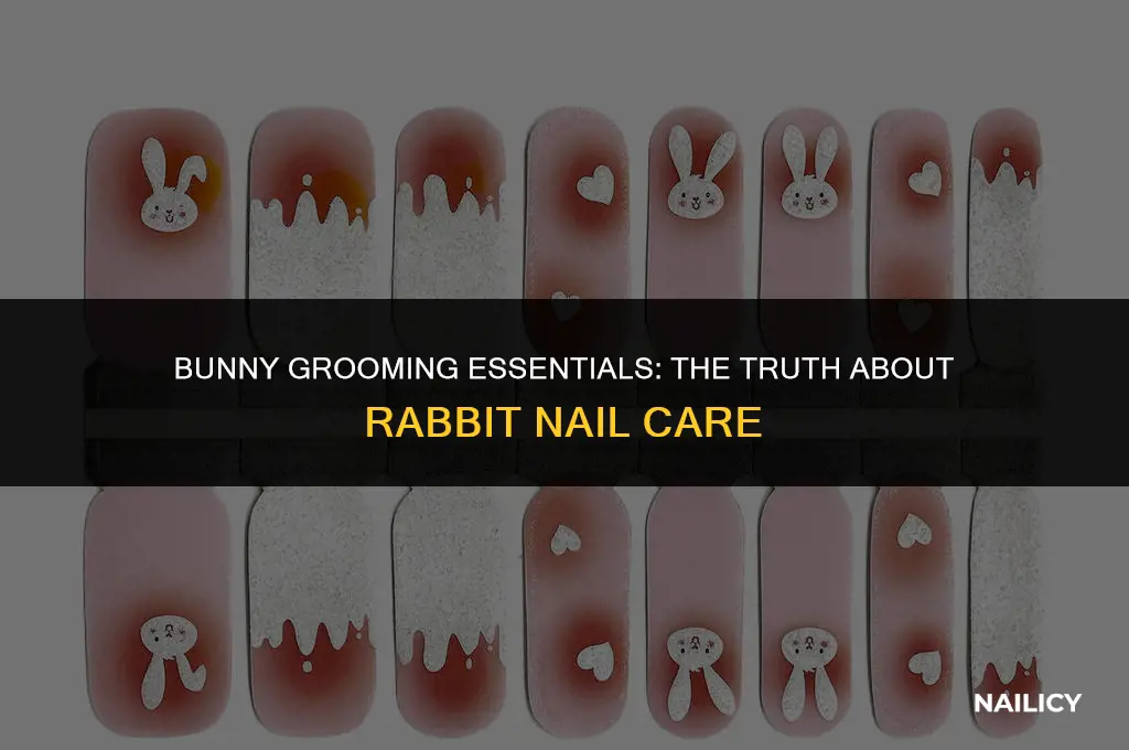 do rabbits have to get their nails clipped