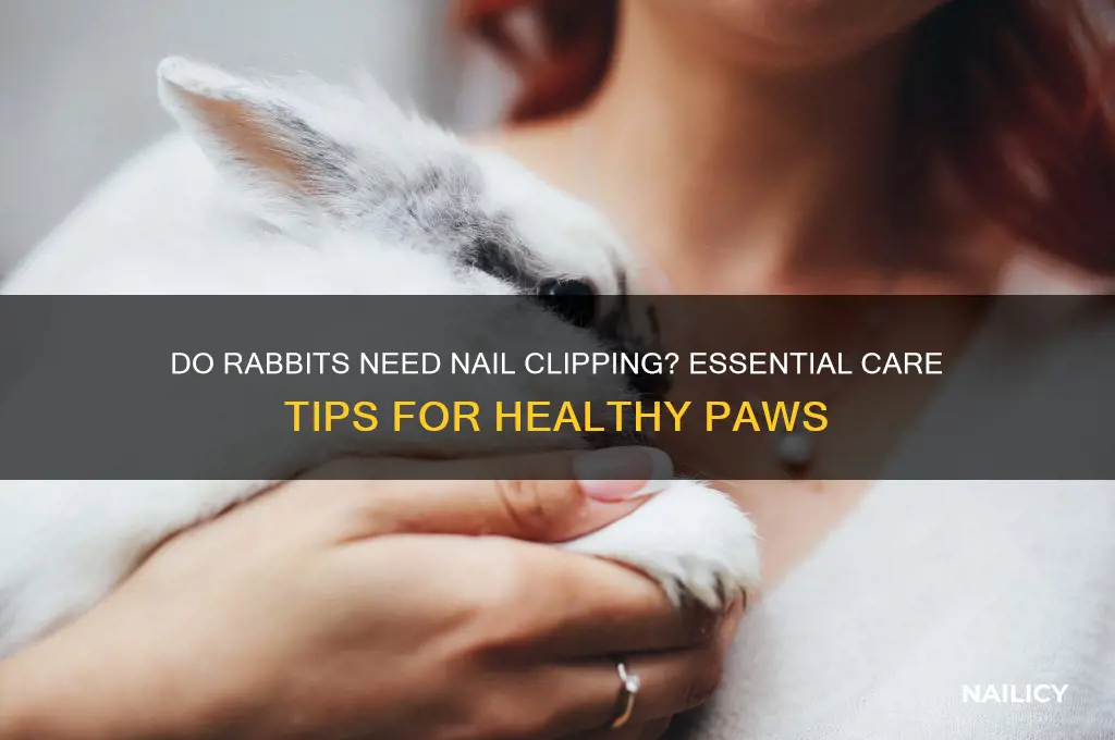 do rabbits need nails clipped
