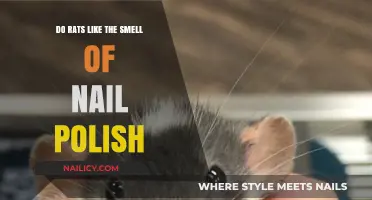 Do Rats Like the Smell of Nail Polish? Surprising Insights