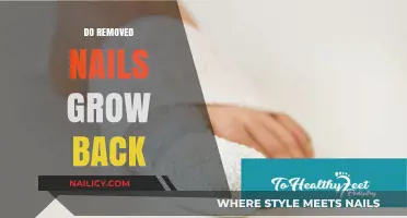 How Removed Nails Regrow: What You Need to Know