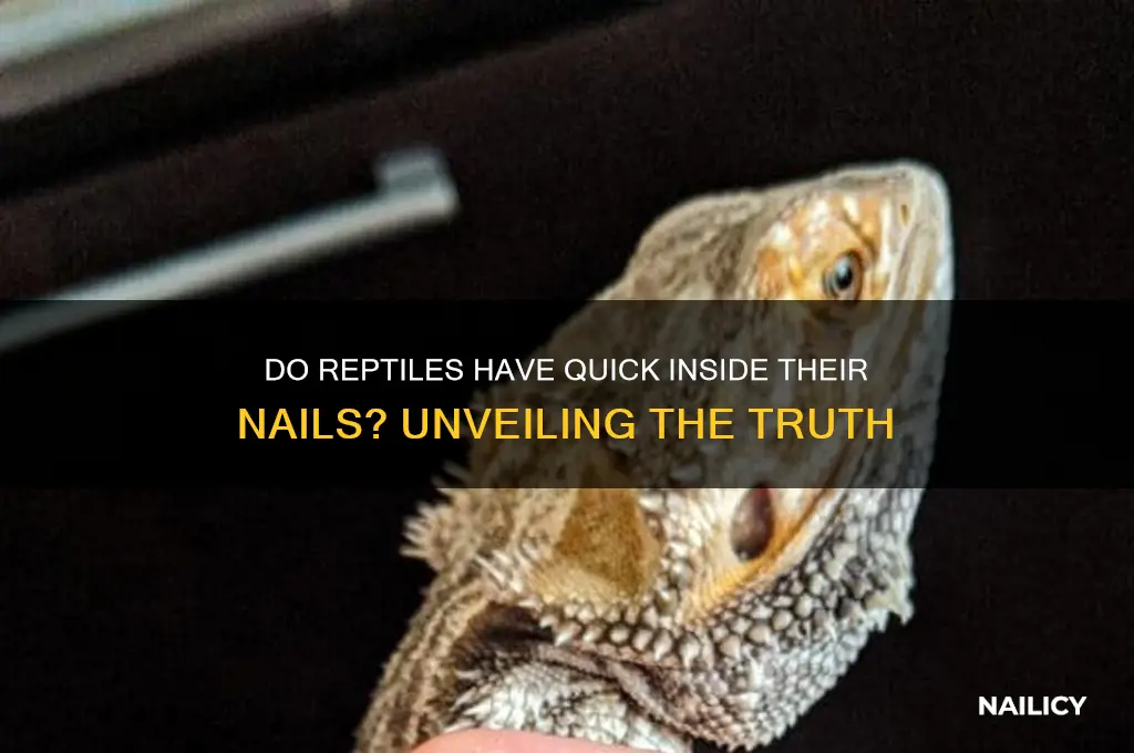 do reptiles have a quick inside their nails