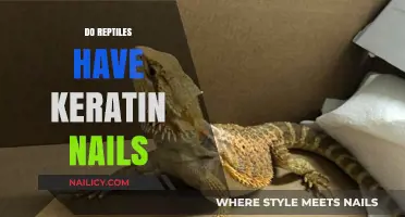 Reptiles' Keratin Nails: Unveiling the Truth About Their Claws