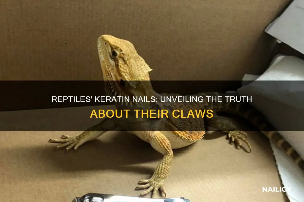 do reptiles have keratin nails
