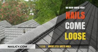 Can Roof Ridge Vent Nails Loosen Over Time? Find Out Here