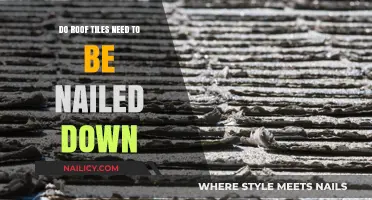 Securing Roof Tiles: Are Nails Essential for Longevity and Safety?
