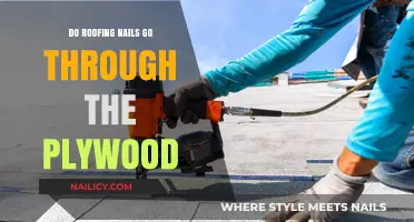 Do Roofing Nails Penetrate Plywood? Essential Installation Insights