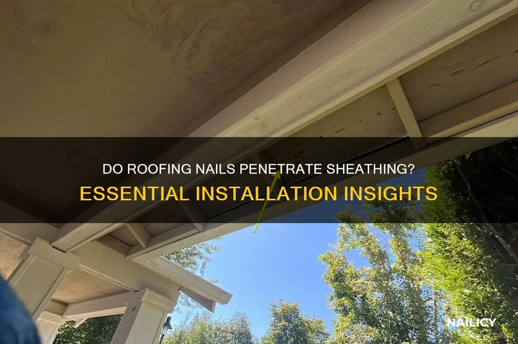 do roofing nails go through the sheathing