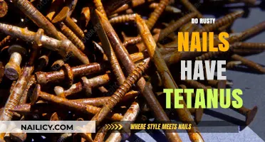 Rusty Nails and Tetanus: Separating Fact from Fiction