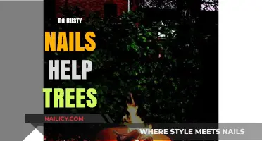 Rusty Nails in Trees: Myth or Miracle for Growth?