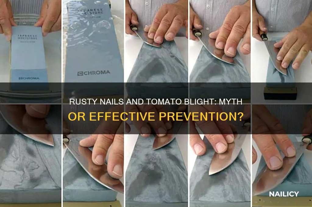 do rusty nails prevent blight in tomatoes