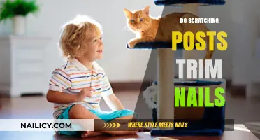 Scratching Posts: Nail Trimming Solution for Cats