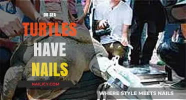 Do Sea Turtles Have Nails? Unveiling the Truth About Their Flippers
