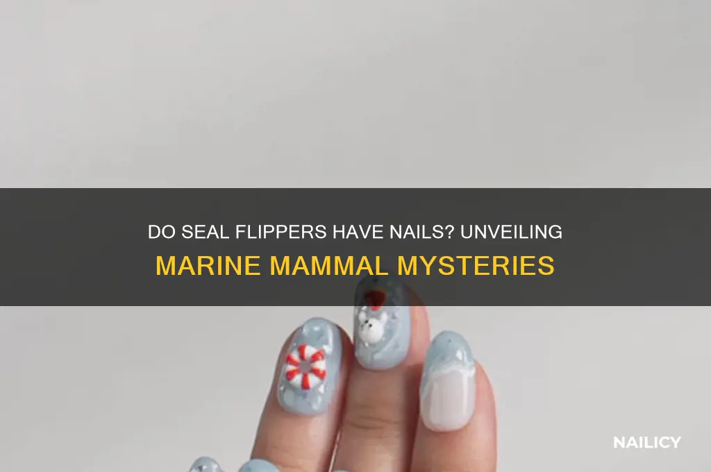 do seal flippers have nails
