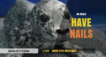 Do Seals Have Nails? Unveiling the Truth About Their Flippers