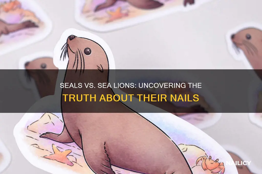 do seals or sea lions have nails