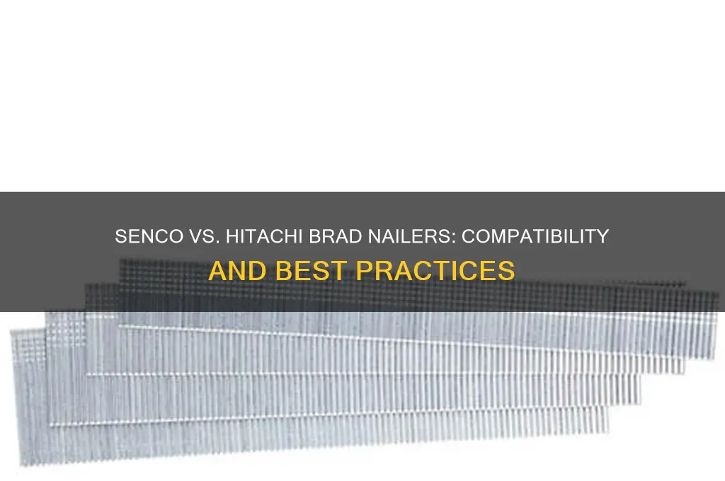 do senco brads fit in hatachi brad nailer