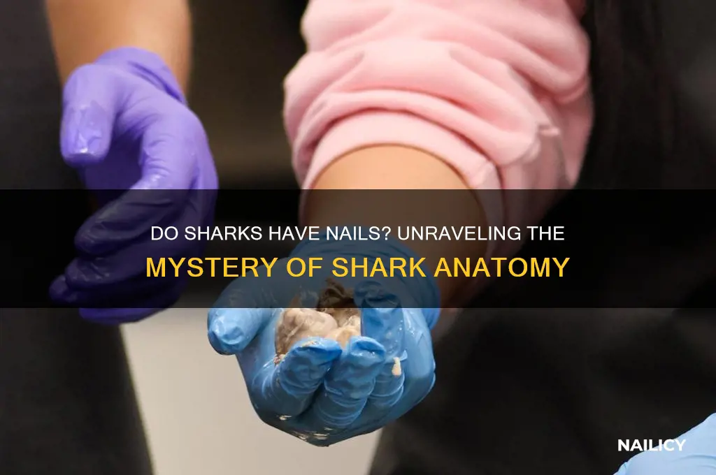 do sharks have nails
