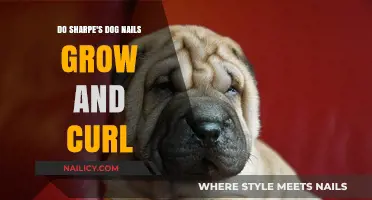 How to Keep Your Sharpe's Nails Trimmed and Healthy