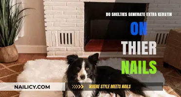 Do Shelties Produce Excess Keratin in Their Nails? Exploring the Myth