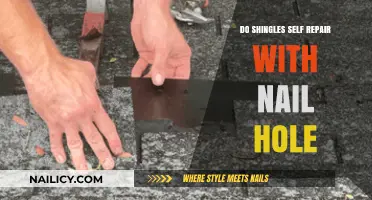 Can Shingles Self-Repair After Nail Holes? A Roofing Guide