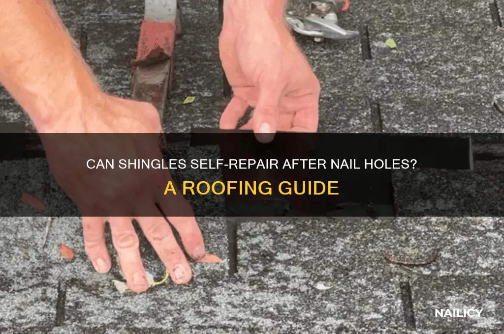do shingles self repair with nail hole