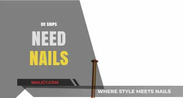 Do Ships Need Nails? Unraveling the Role of Fasteners in Shipbuilding