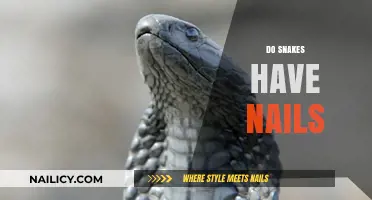 Do Snakes Have Nails? Unveiling the Truth About Reptilian Claws