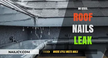 Do Steel Roof Nails Leak? Debunking Myths and Ensuring Waterproof Roofing