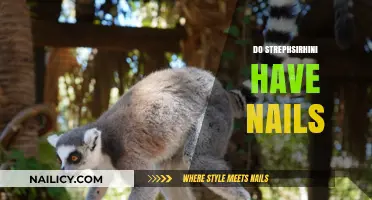 Do Strepsirhini Have Nails? Unveiling Primate Anatomy Mysteries