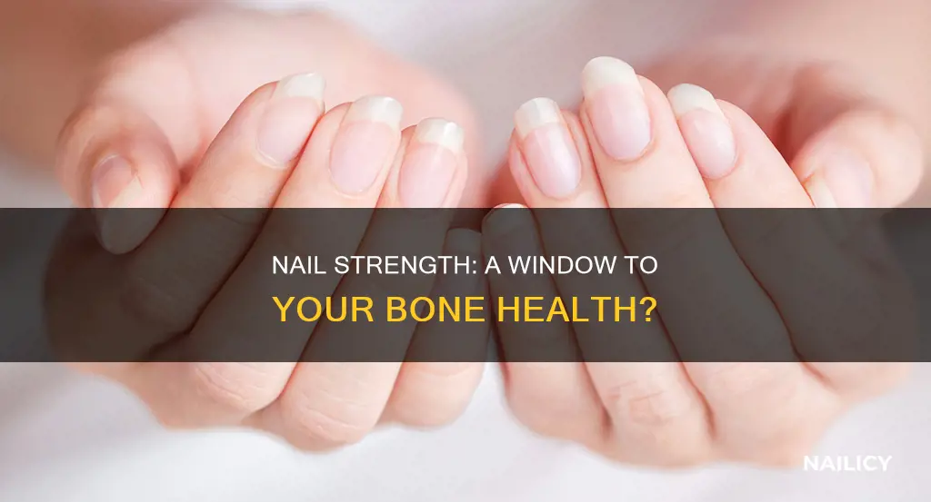 do strong nails mean strong bones