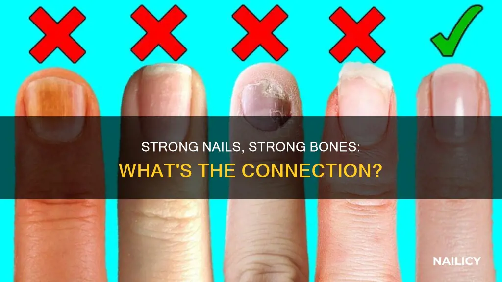 do strong nails mean strong bones