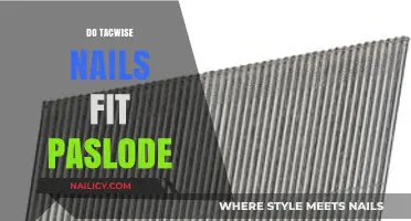 Tacwise Nails Compatibility: Do They Fit Paslode Tools?