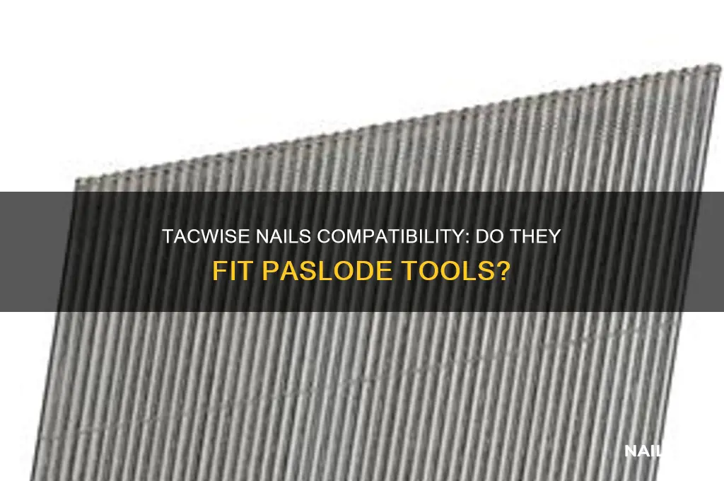 do tacwise nails fit paslode