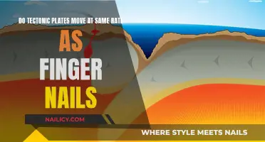 Tectonic Plates: Slower Than Nail Growth