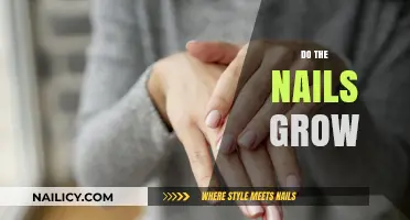 How Nails Grow: Understanding the Science