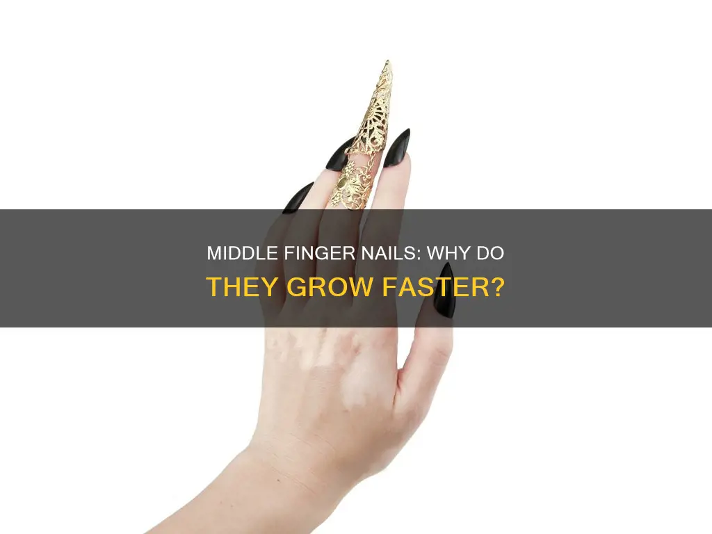 do the nails on middle fingers grow faser