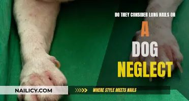 Long Nails: Canine Comfort or Cruelty?