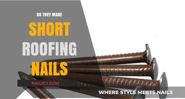 Short Roofing Nails: Do They Exist?