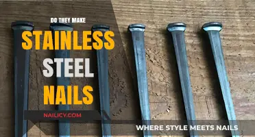 Stainless Steel Nails: Are They a Thing?