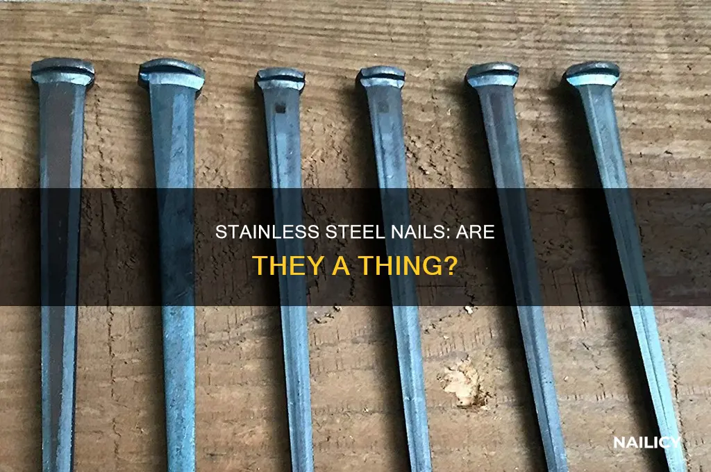 do they make stainless steel nails