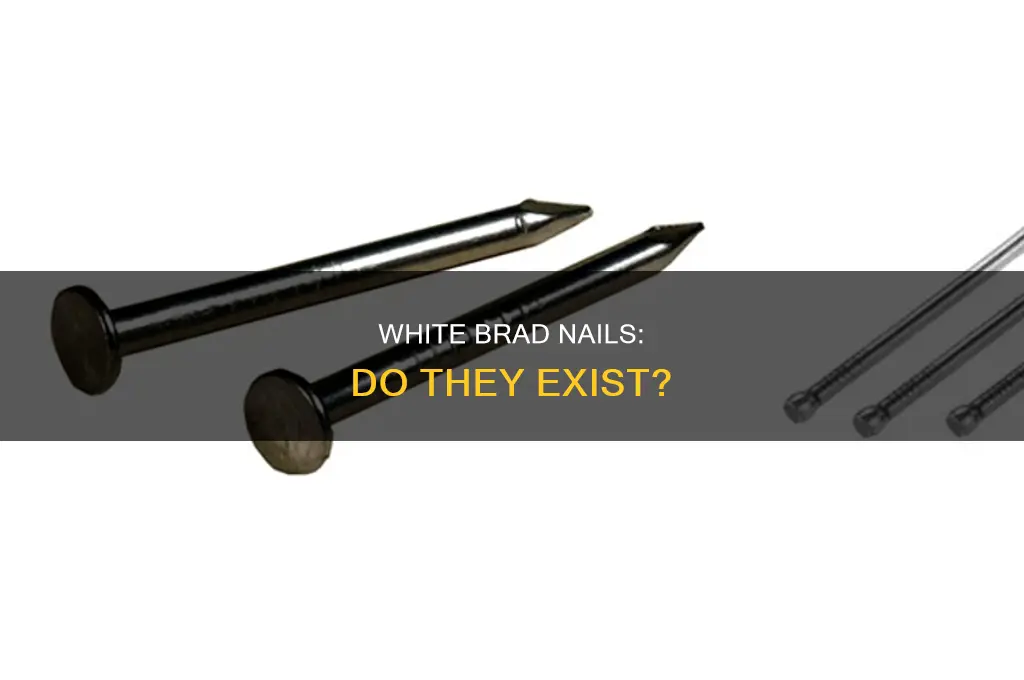do they make white brad nails