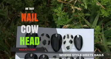 Unveiling the Truth: Do They Really Nail Cow Heads?