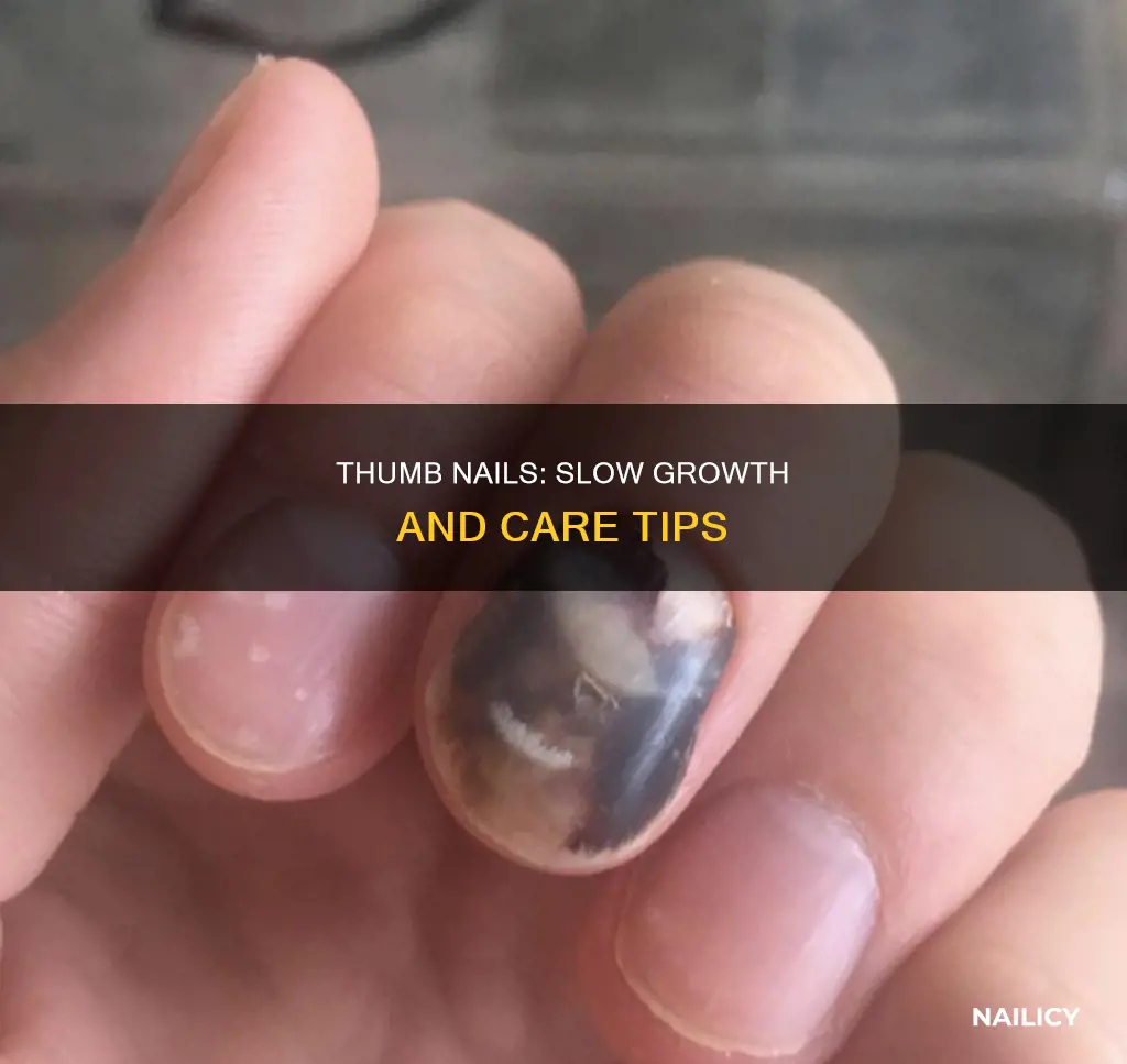 do thumb nails grow slower