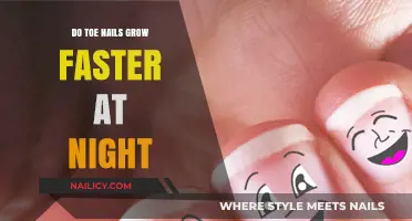 Toe Nails: Faster Growth at Night?