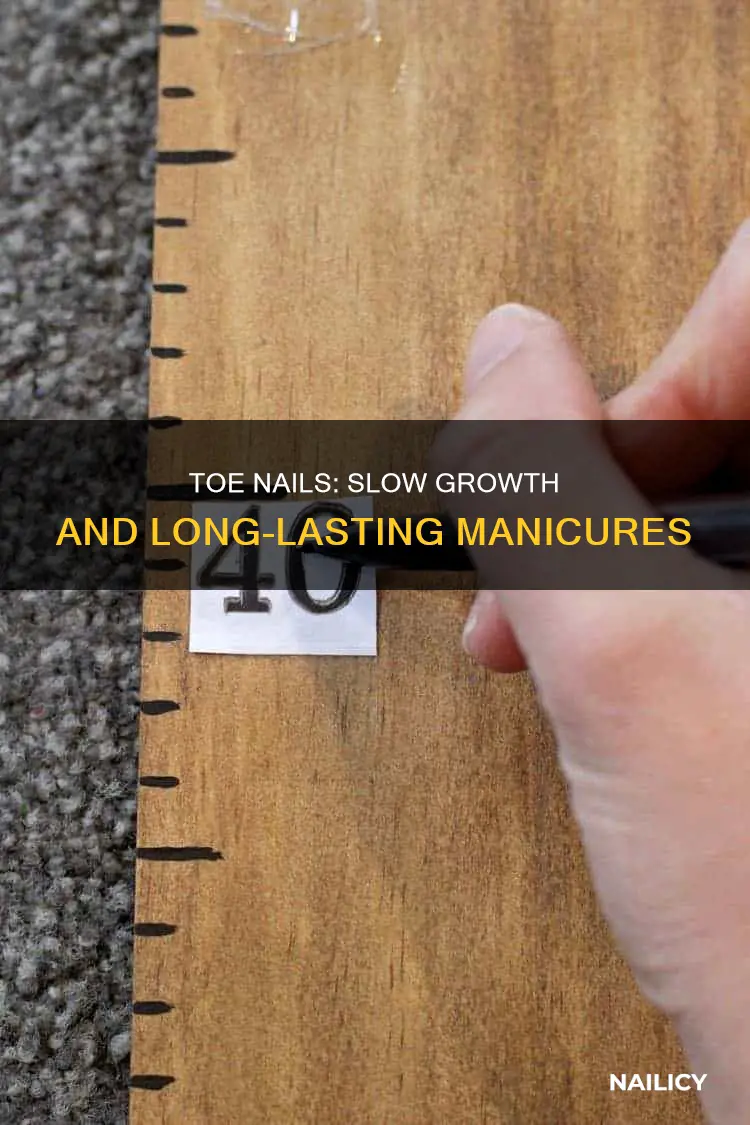 do toes nails take longer to grow