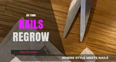 Torn Nails: Understanding the Regrowth Process and Recovery Timeline