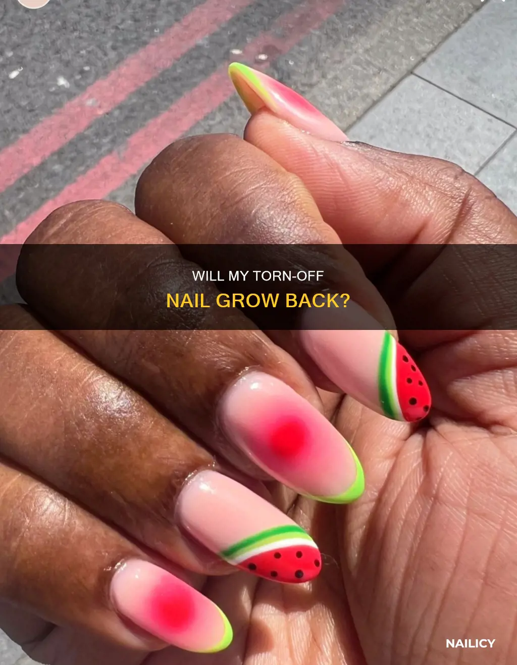 do torn off nail grow back