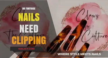 Tortoise Nail Care: Essential Tips for Clipping and Maintenance